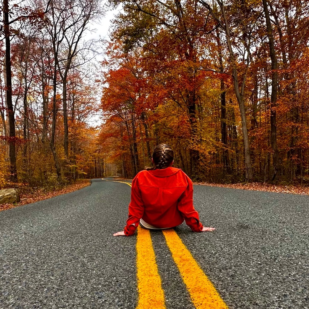 Meet your Posher, Ariana